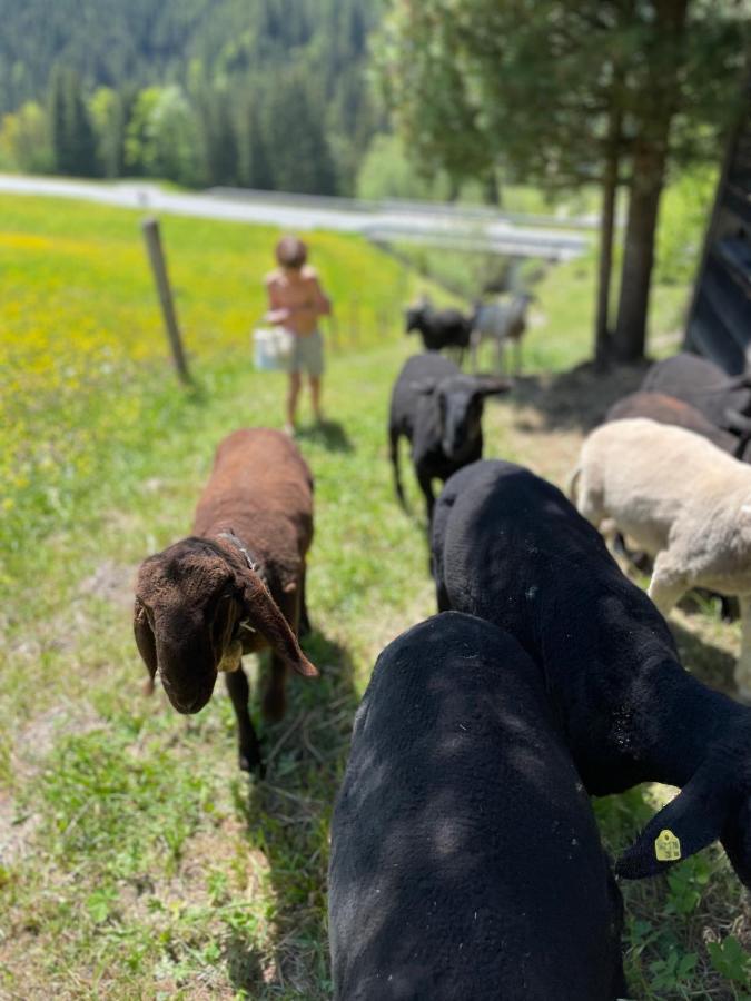 Arlerhof Lejlighed Untertauern Eksteriør billede