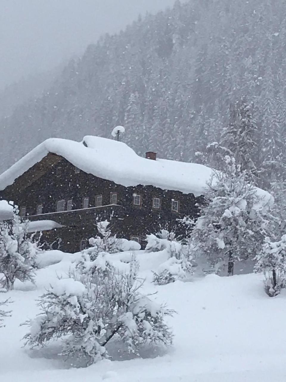 Arlerhof Lejlighed Untertauern Eksteriør billede