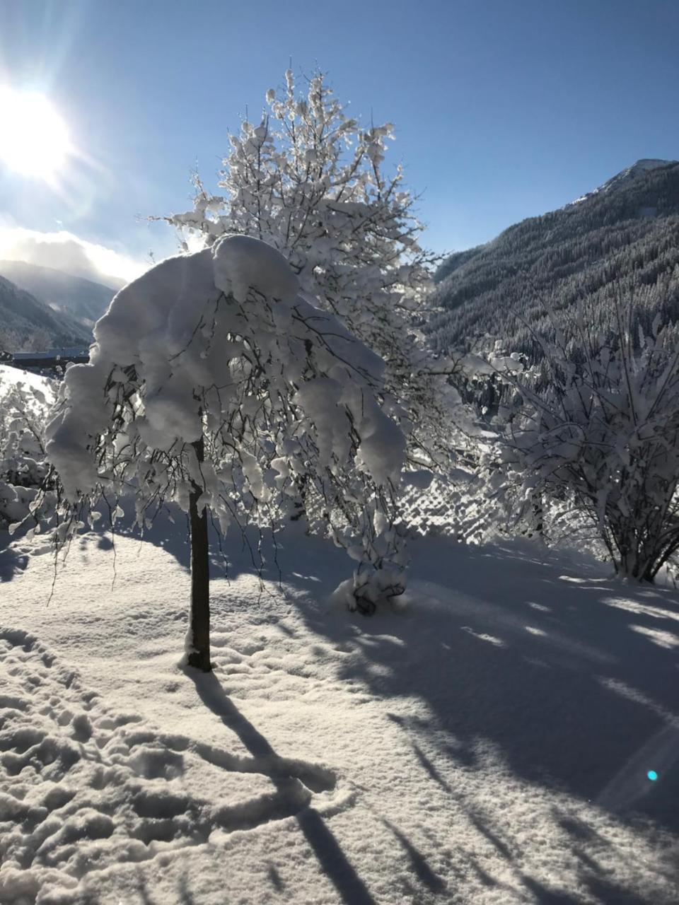 Arlerhof Lejlighed Untertauern Eksteriør billede